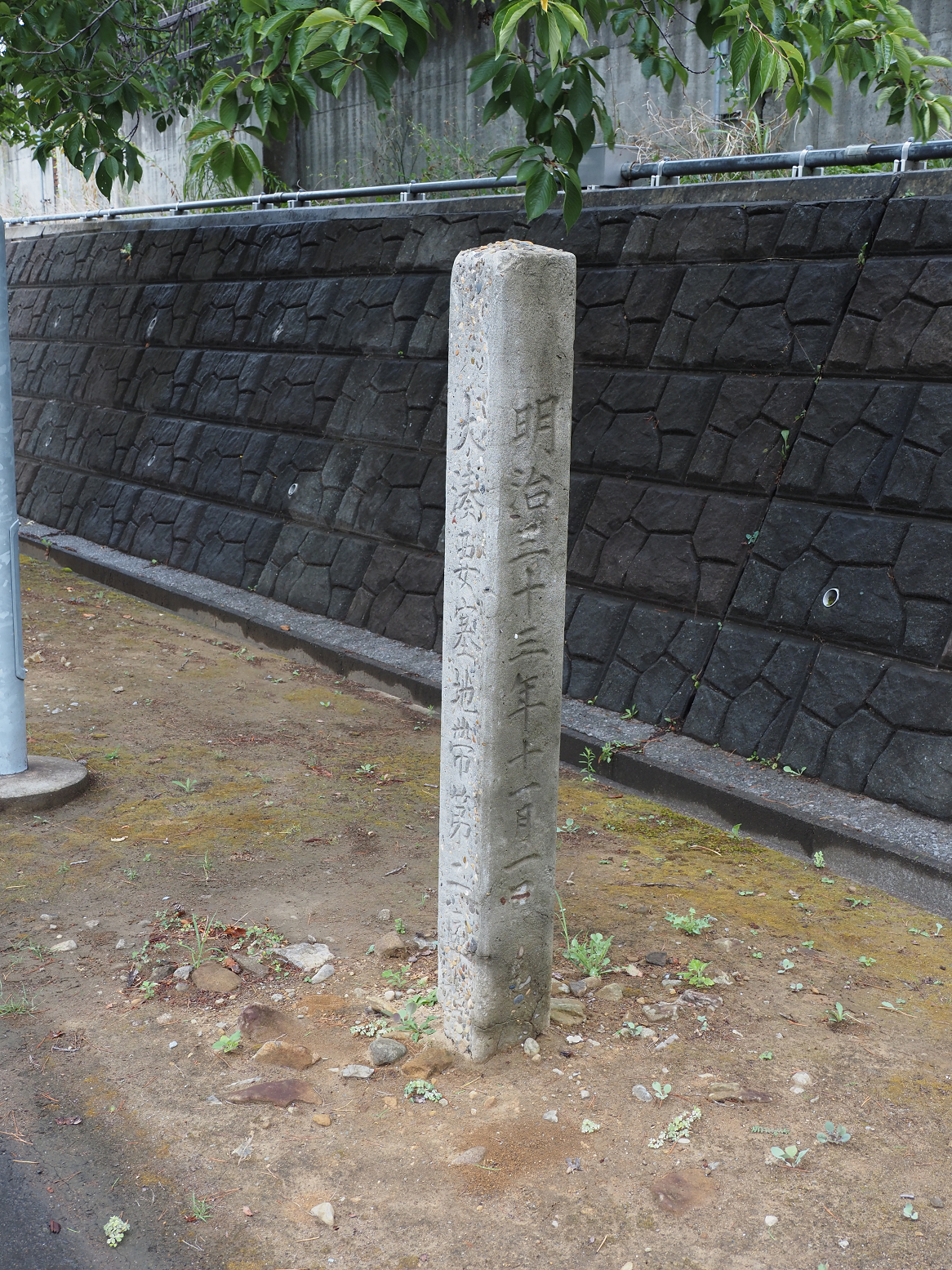 P8120159.jpg