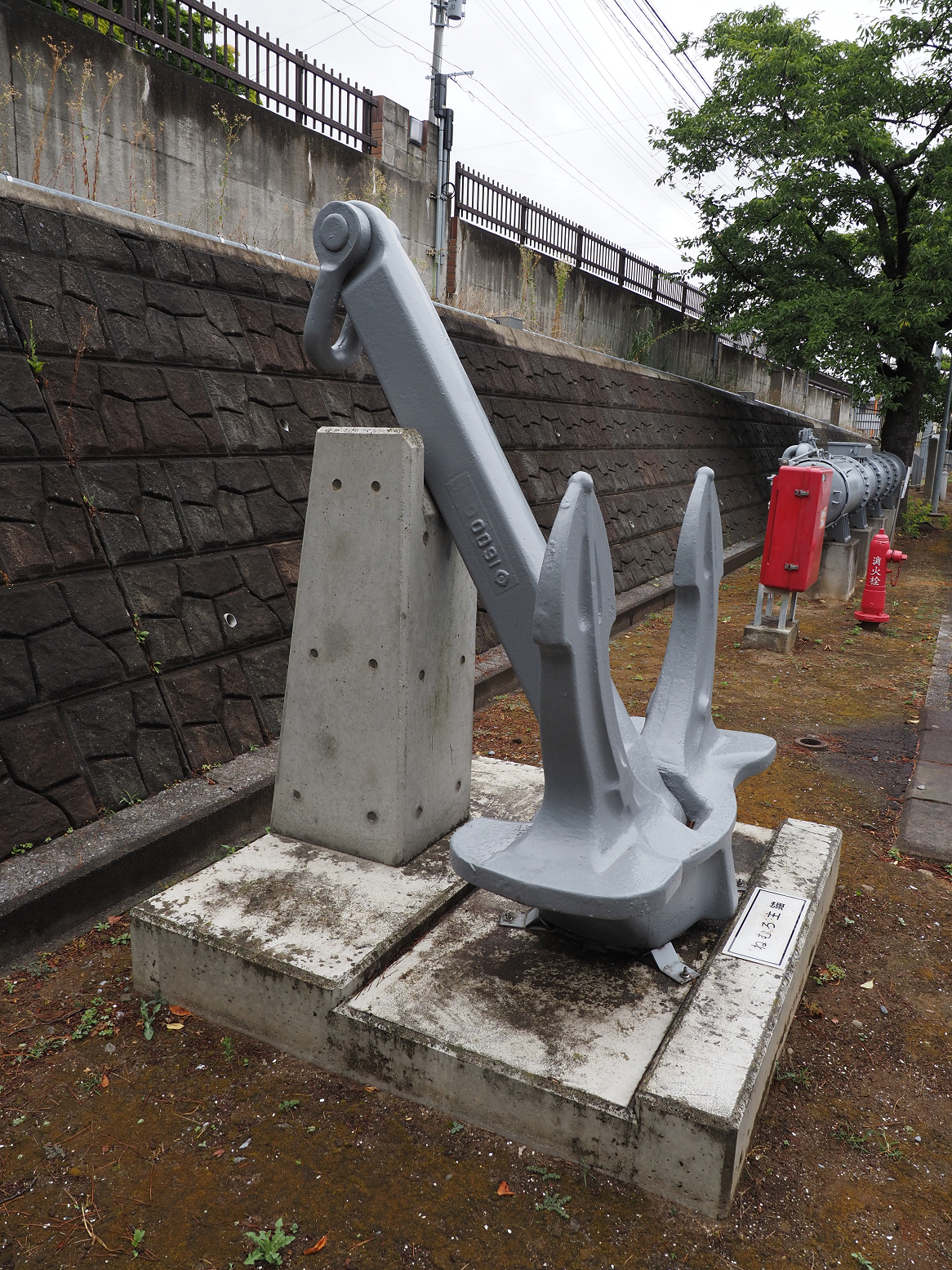 P8120167.jpg
