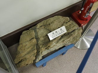 P8120205_thumb.png