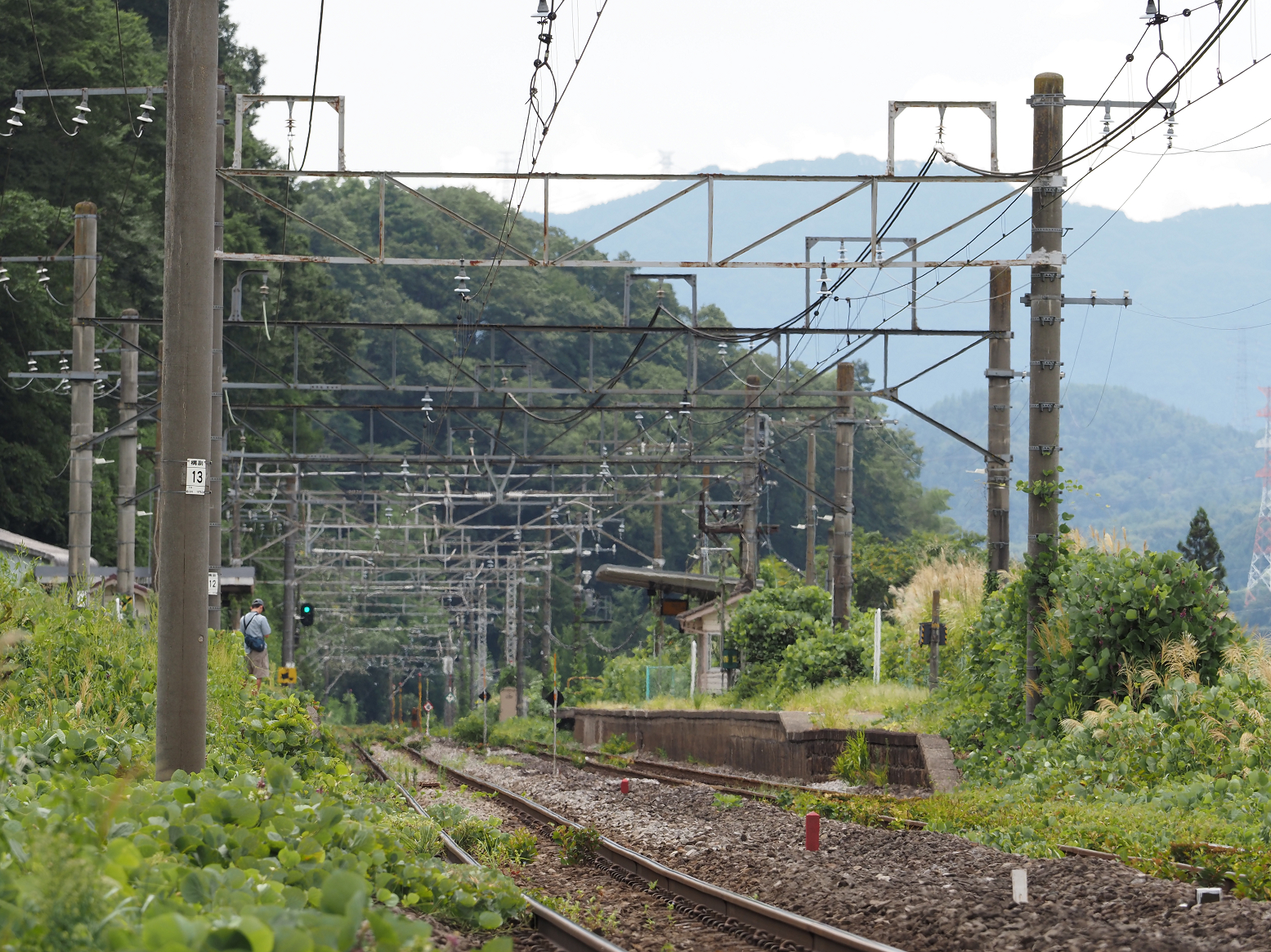 P9020008.jpg