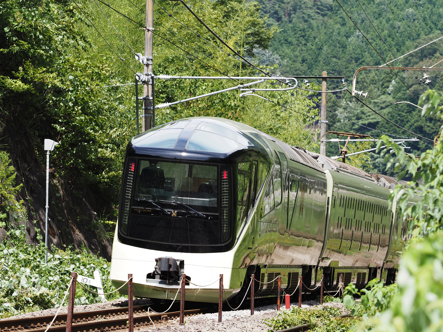 P9020125.jpg