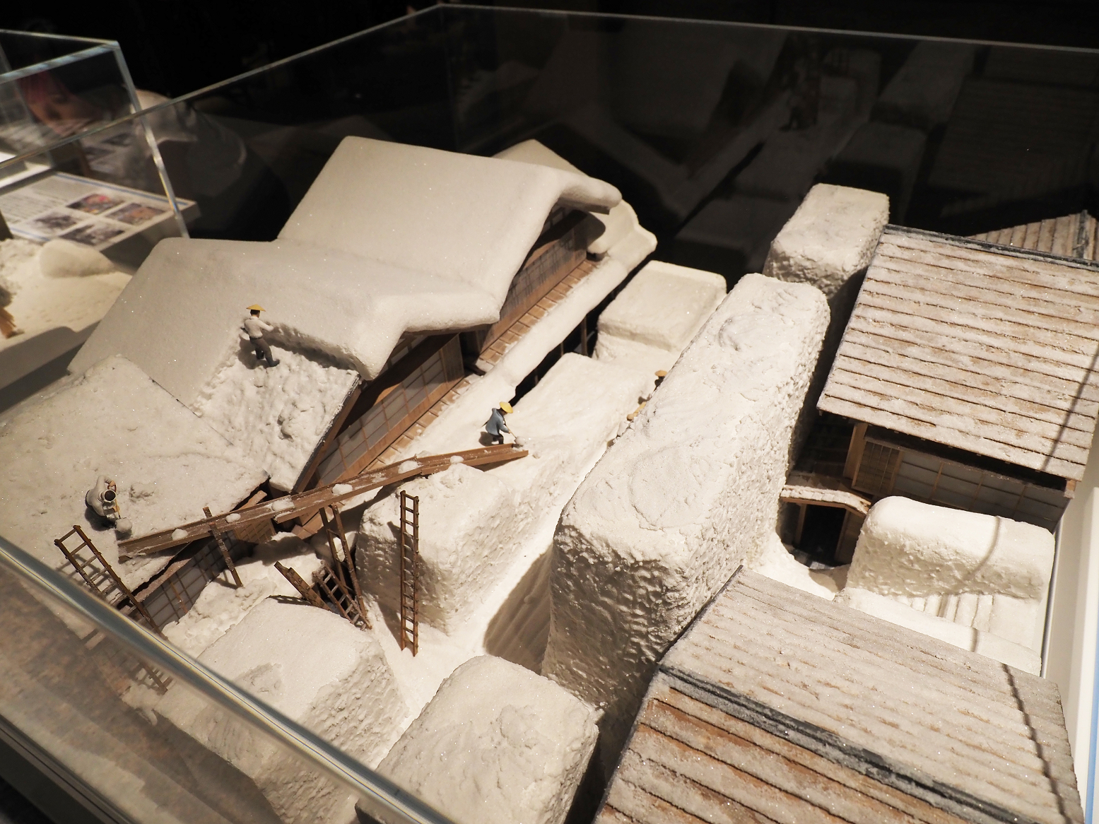P9020159.jpg