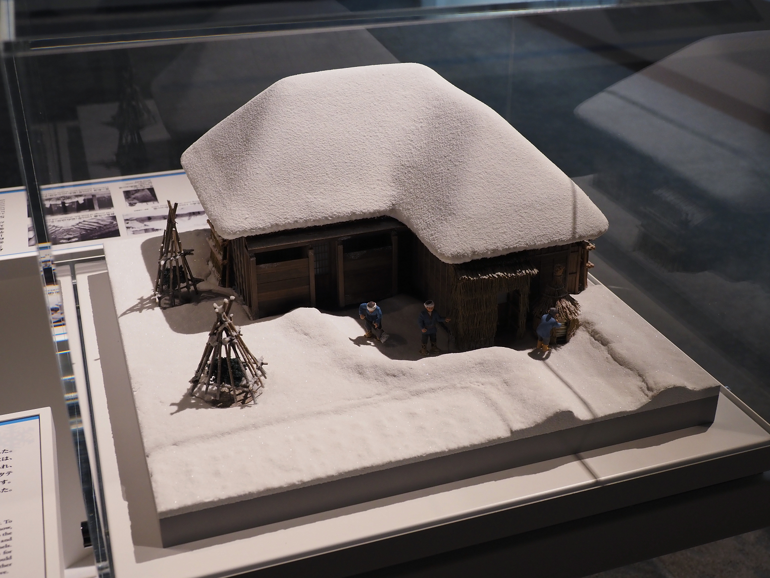 P9020164.jpg