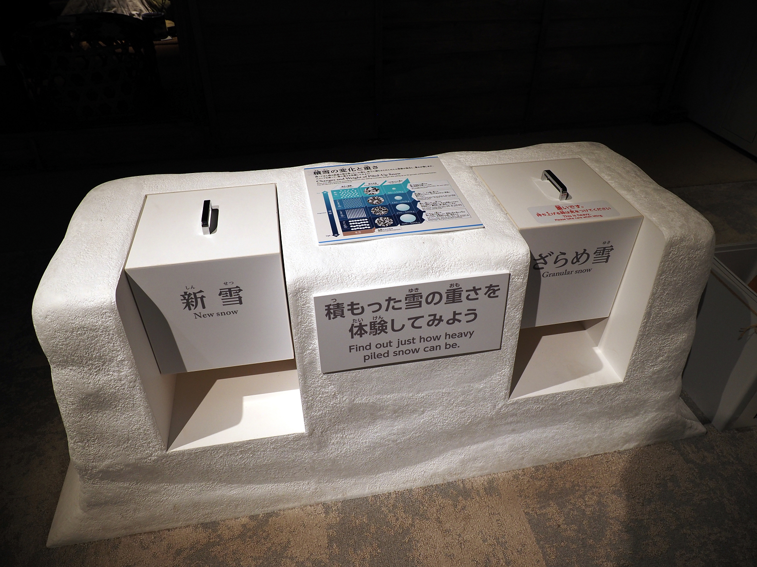 P9020170.jpg