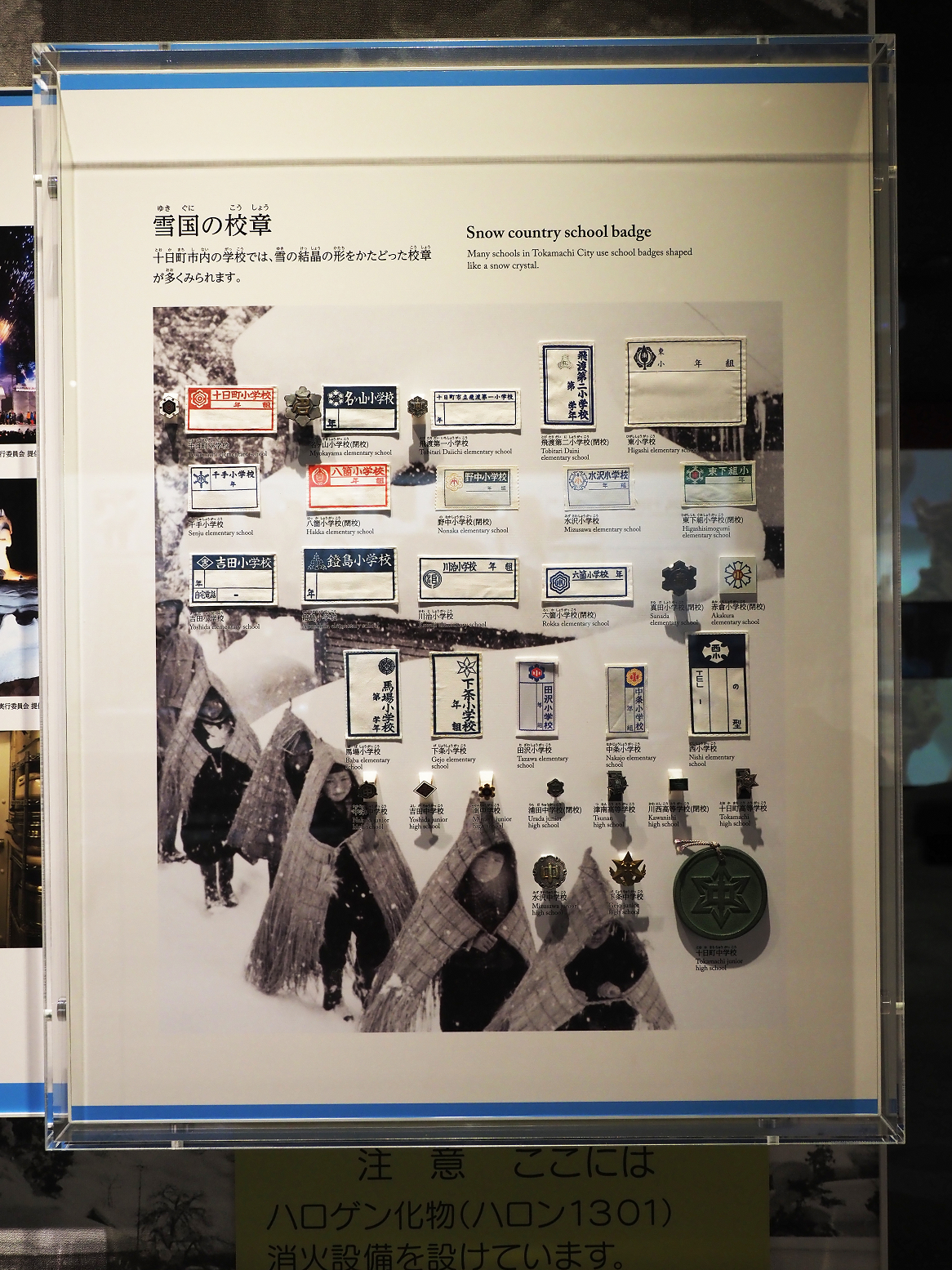 P9020172.jpg