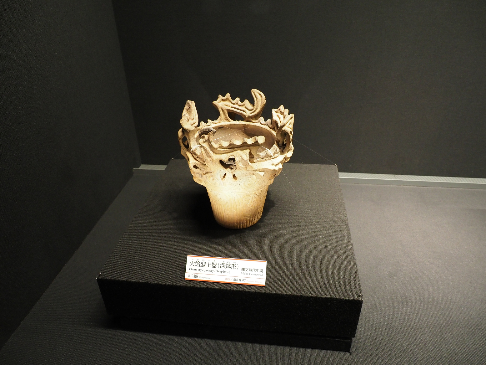 P9020220.jpg