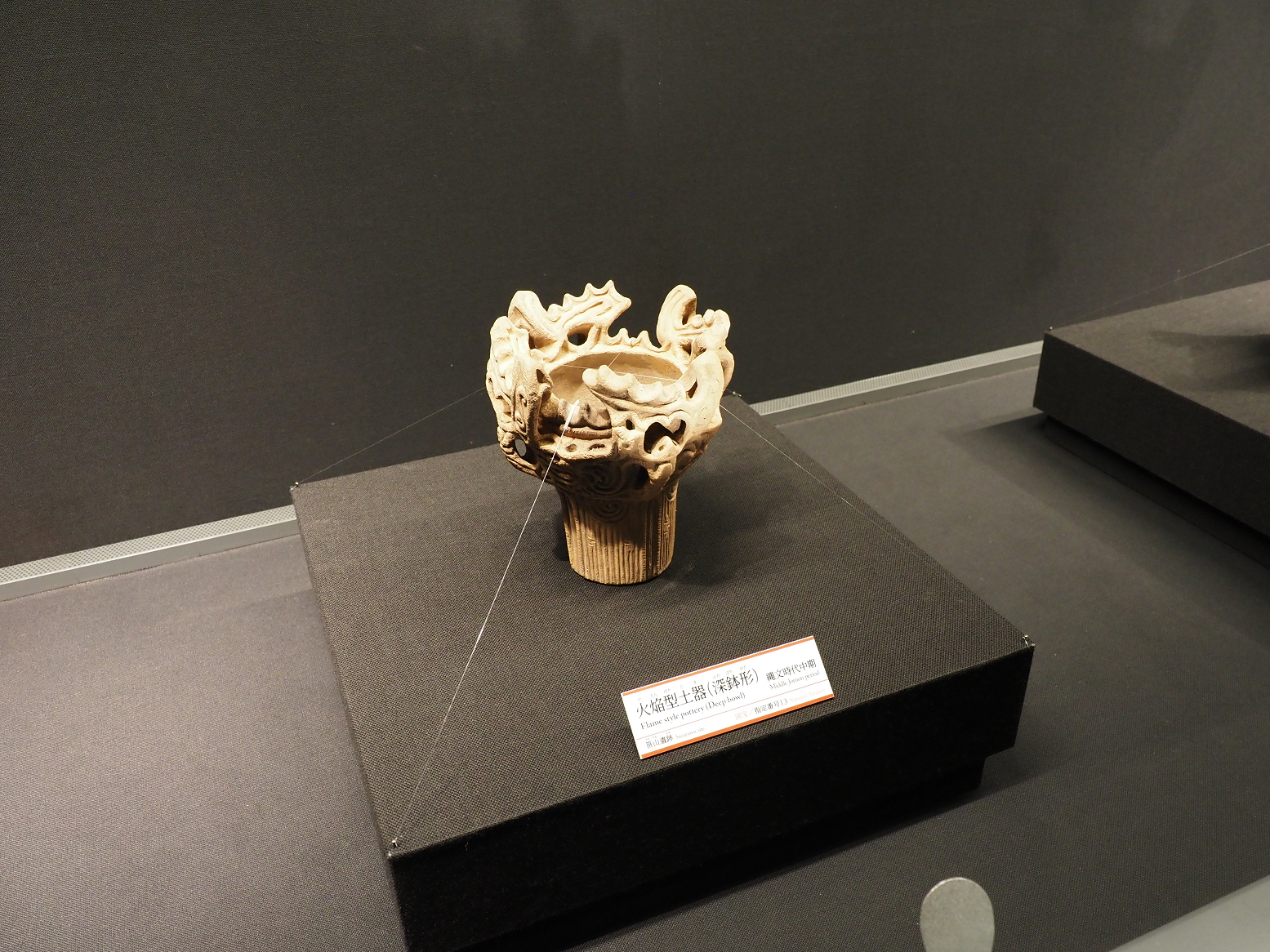 P9020221.jpg