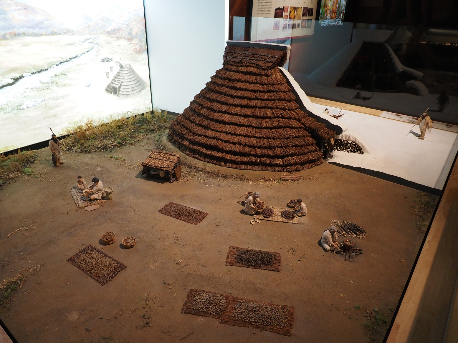 P9020244.jpg