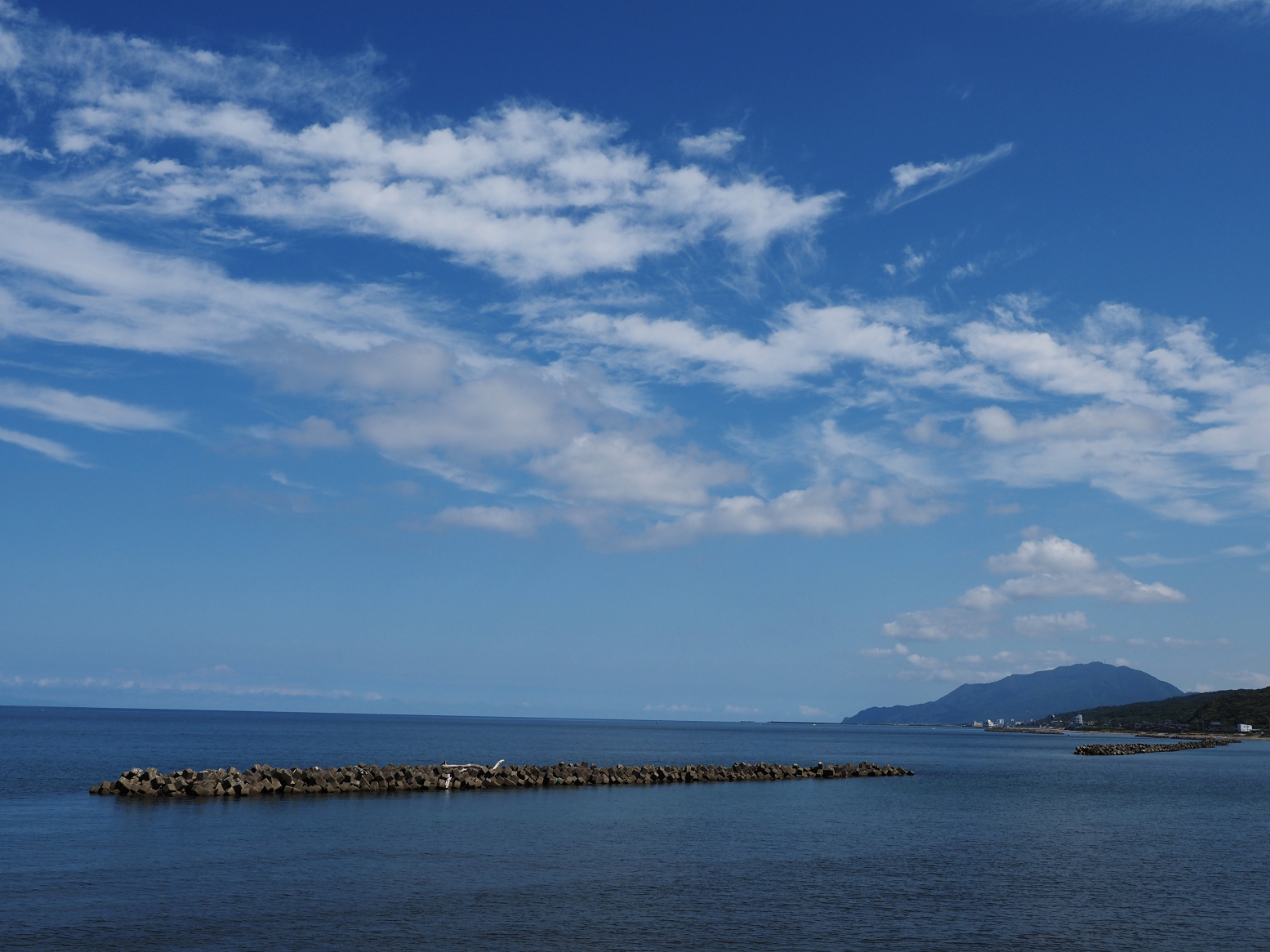 P9030410.jpg