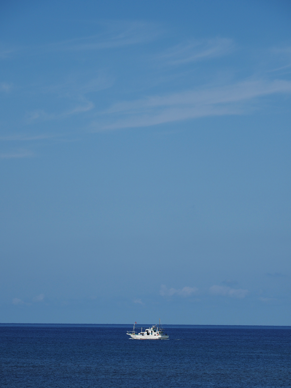 P9030412.jpg