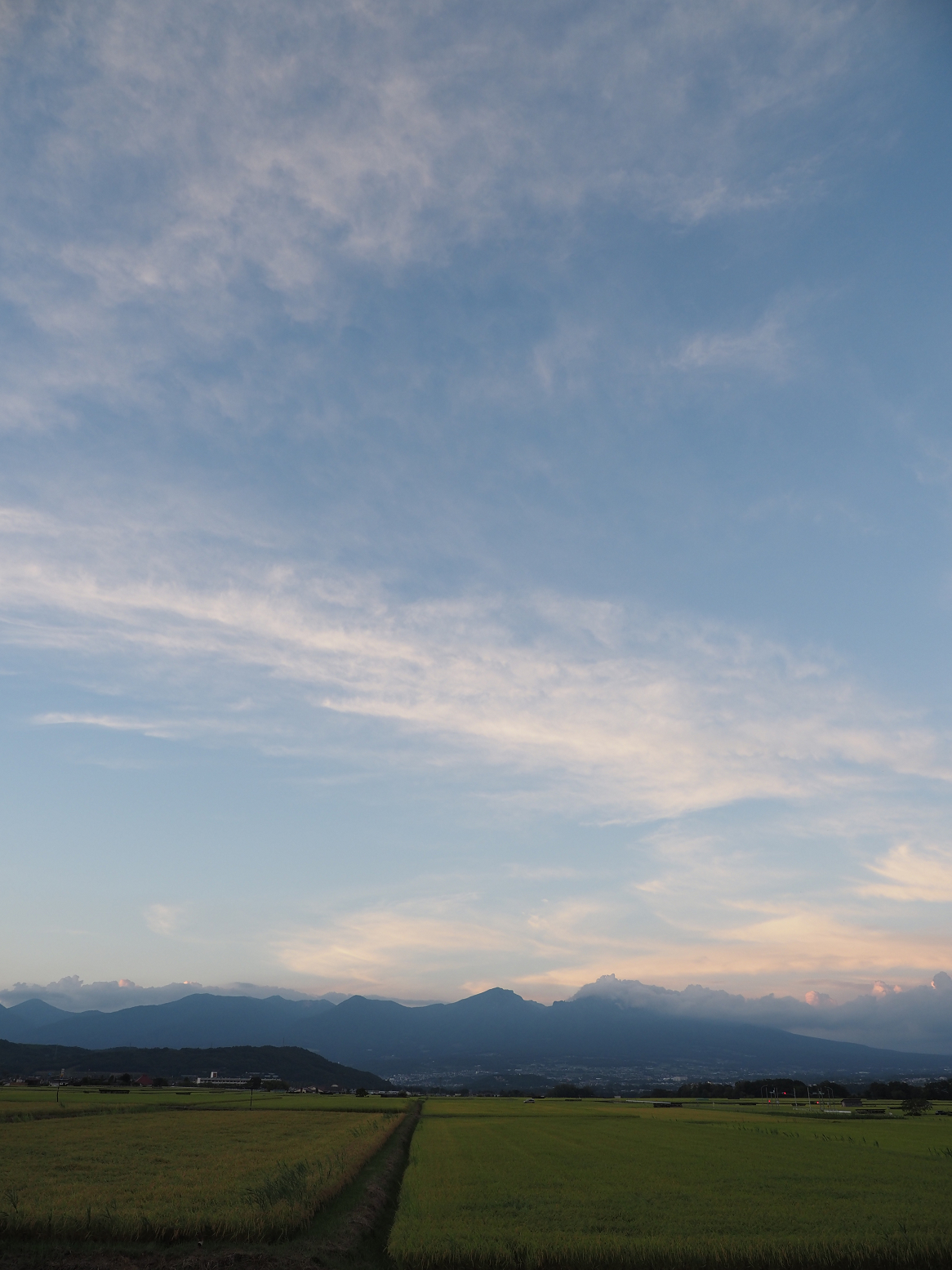 P9030440.jpg