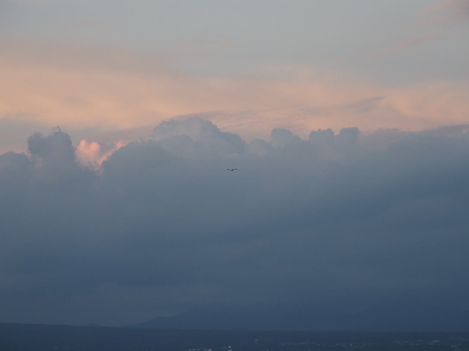 P9030442.jpg