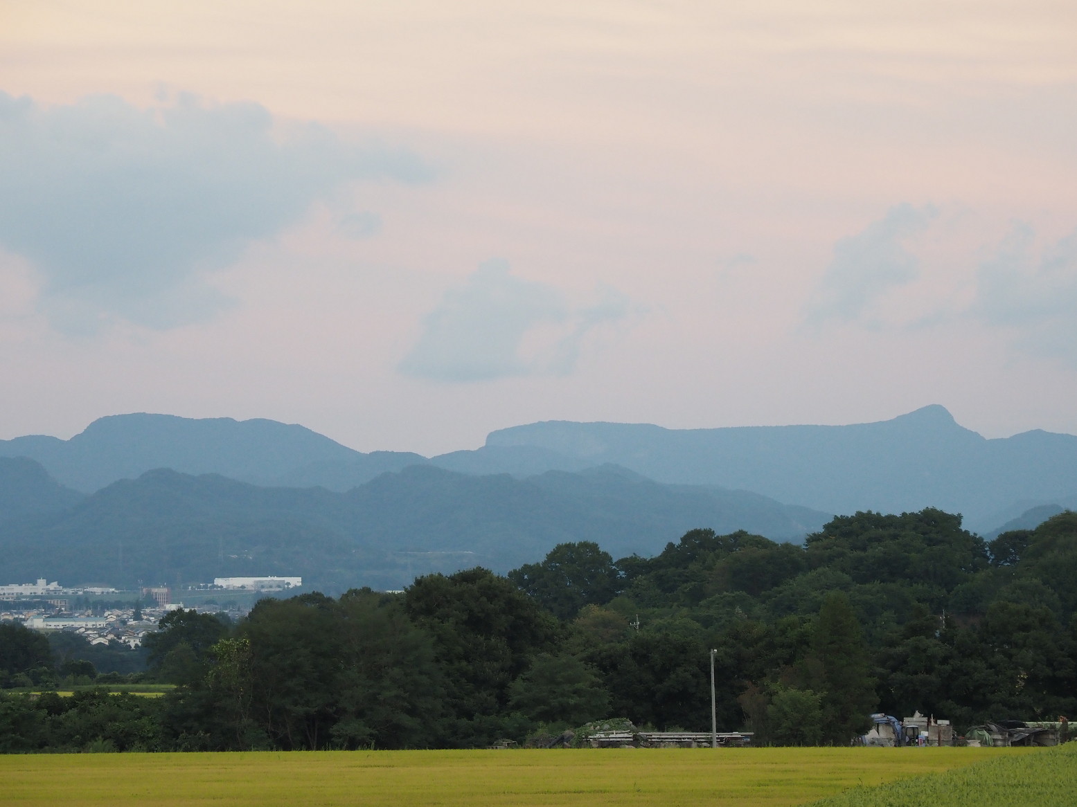 P9030443.jpg