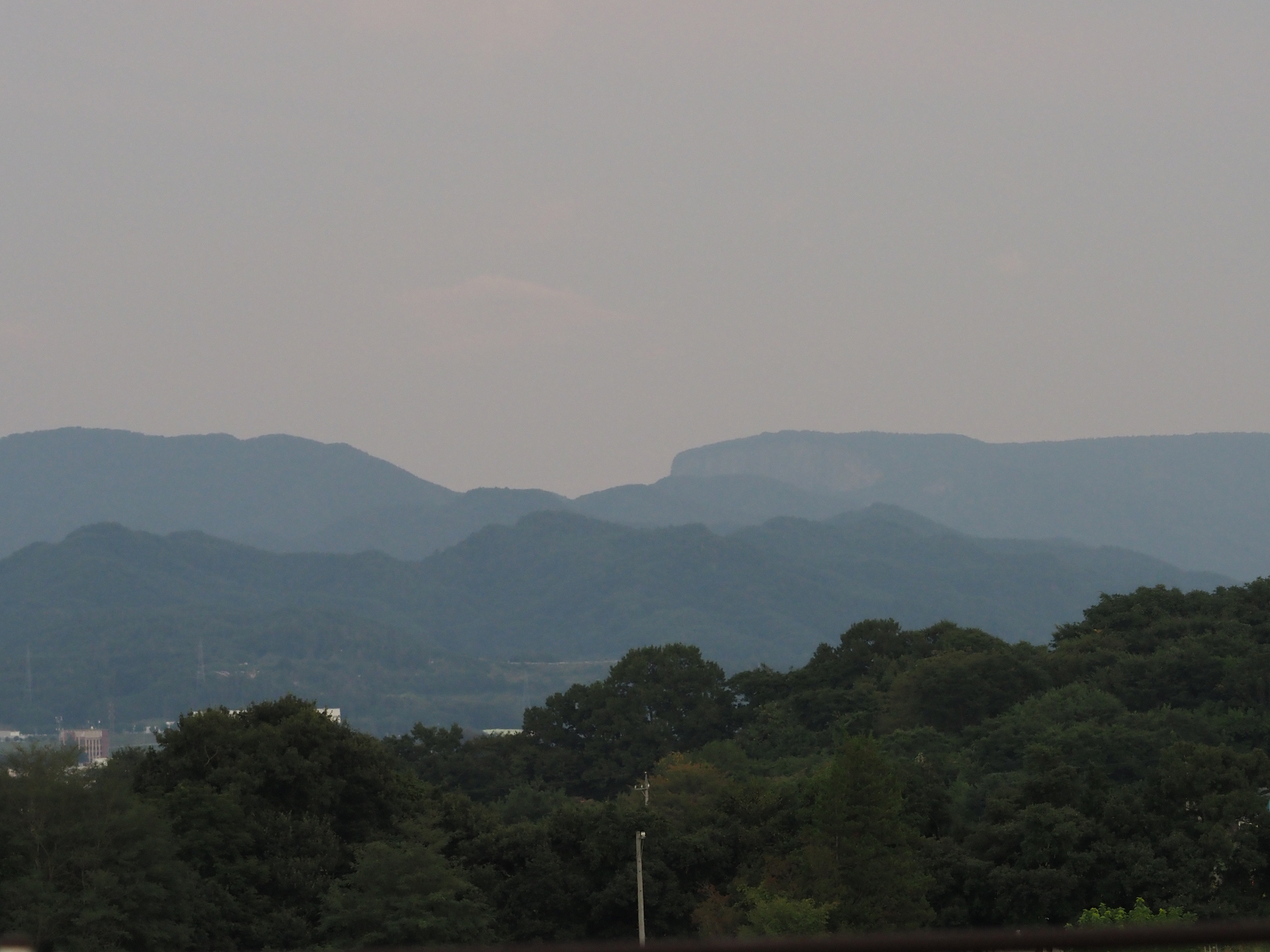 P9030447.jpg