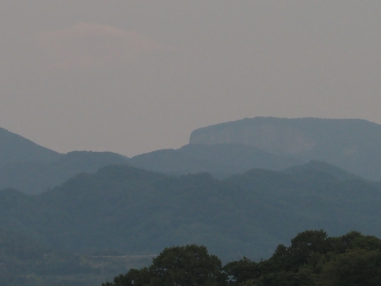 P9030448.jpg