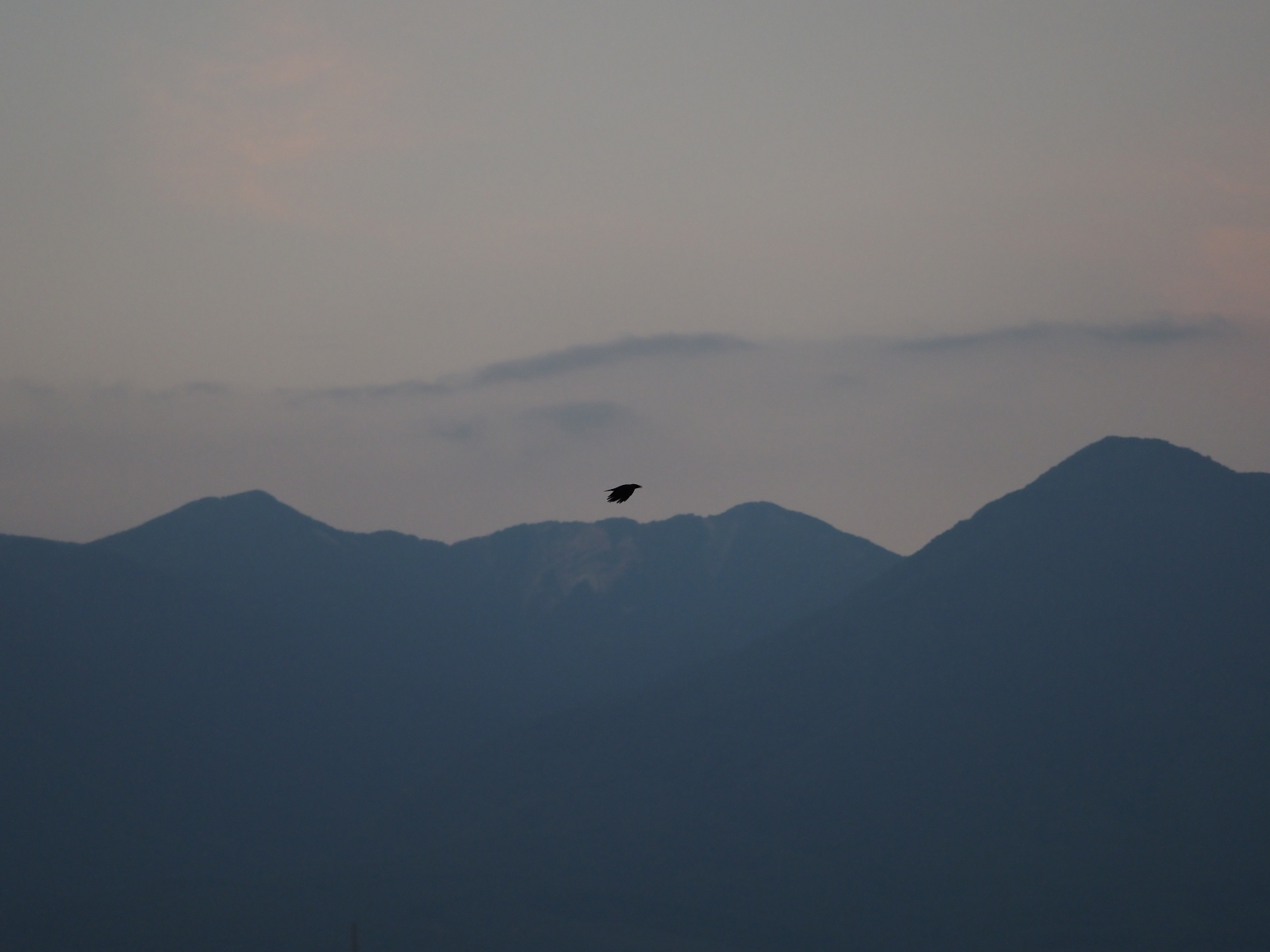P9030451.jpg