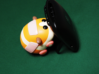 P9040491_thumb.png