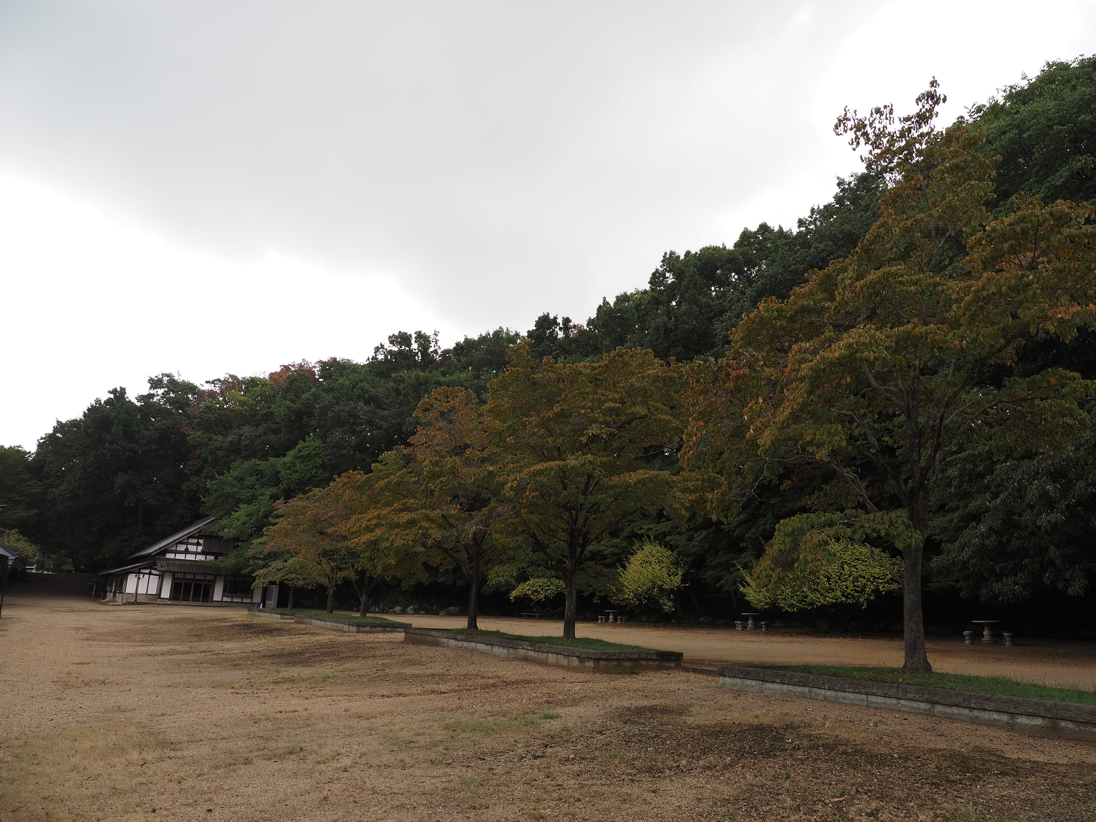 P9170048.jpg