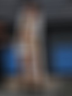 P9170062_thumb.png