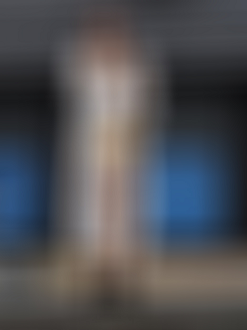 P9170065_thumb.png