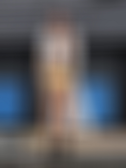 P9170066_thumb.png