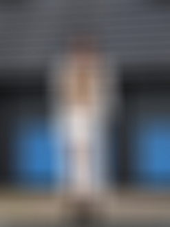 P9170072_thumb.png