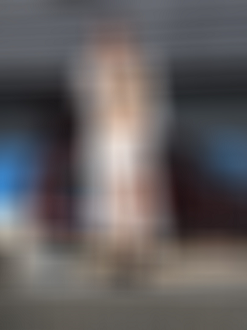 P9170079_thumb.png