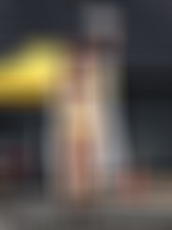 P9170100_thumb.png