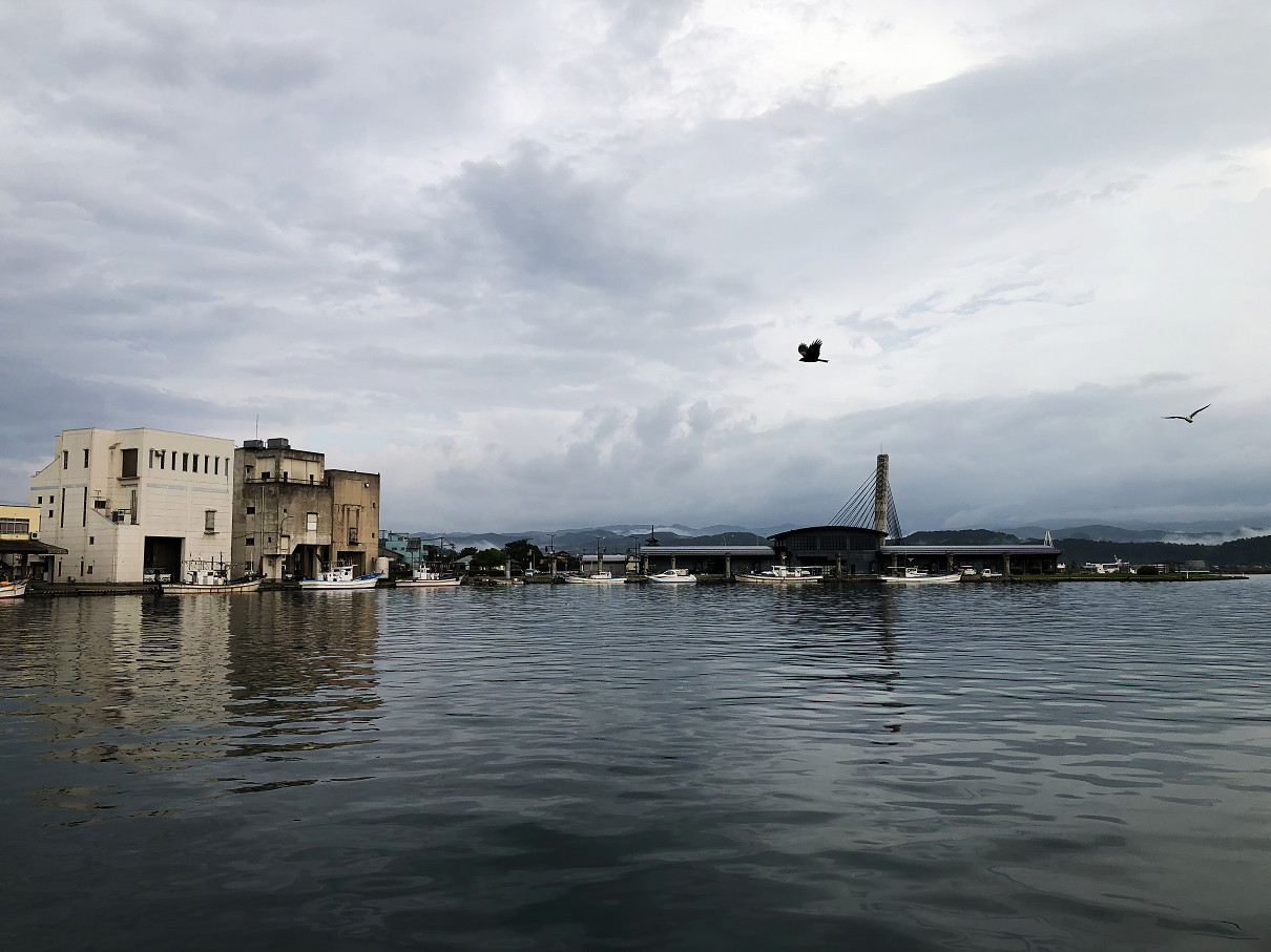 IMG_5800.jpg
