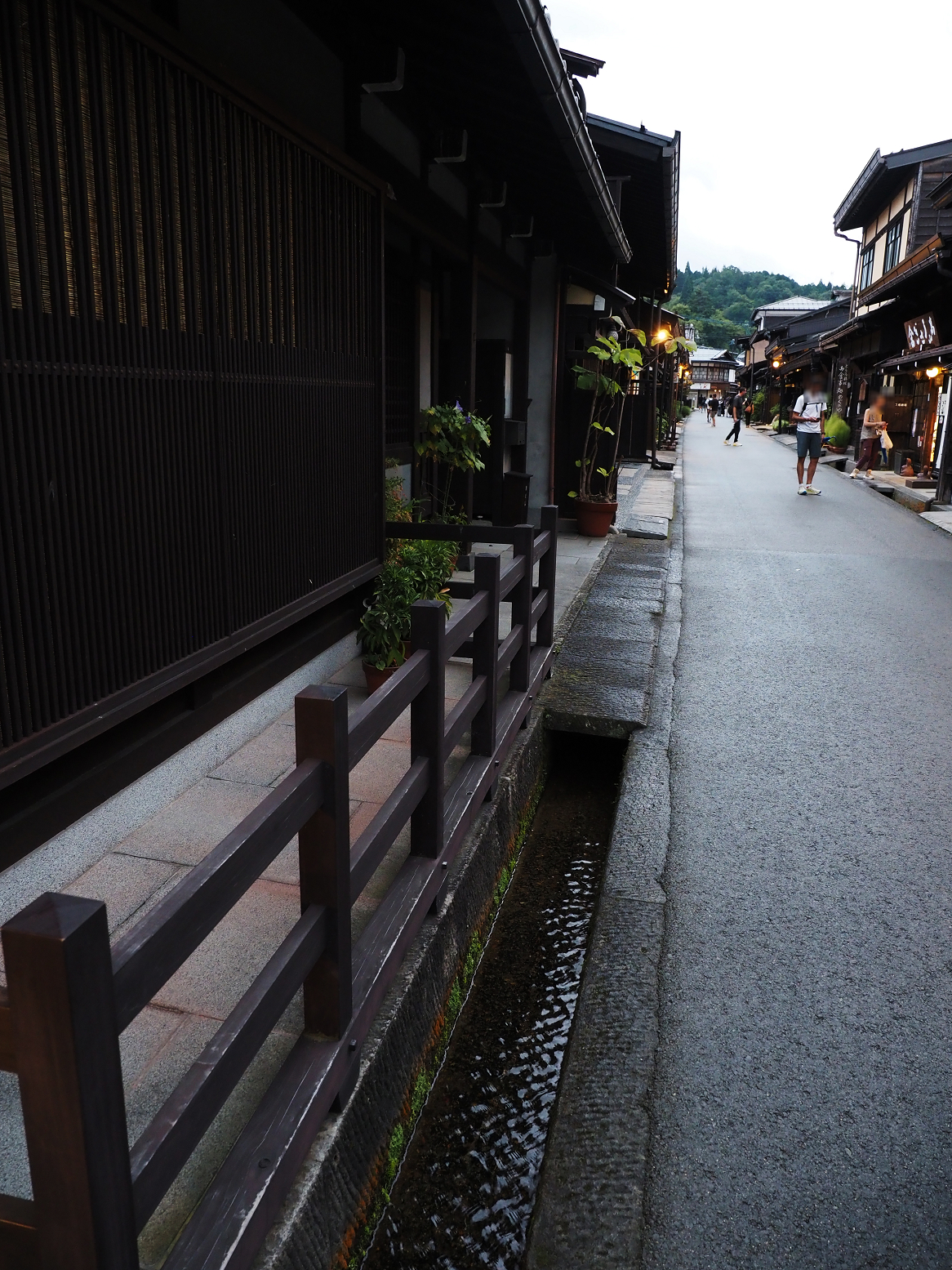P9210556.jpg