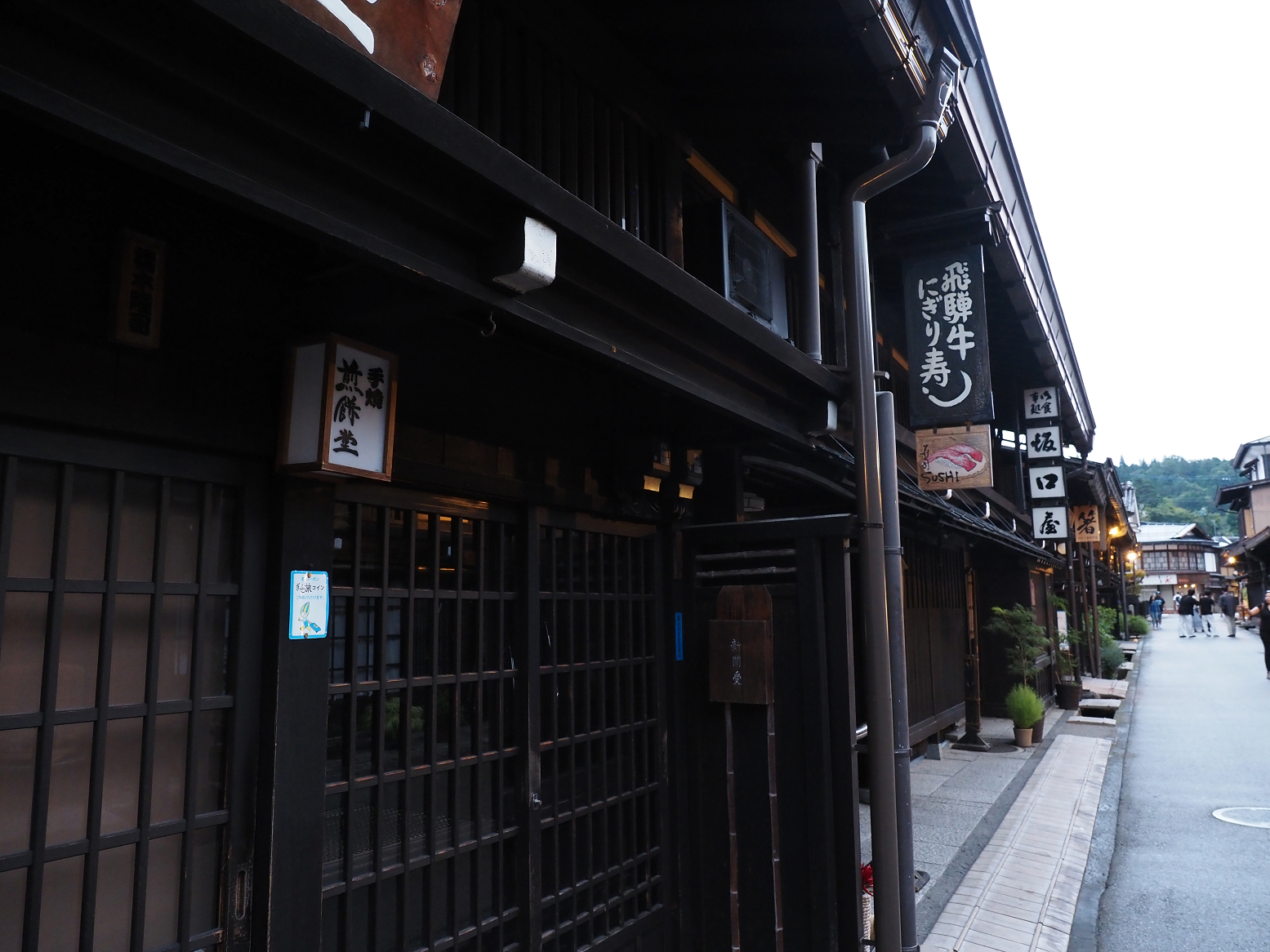 P9210558.jpg