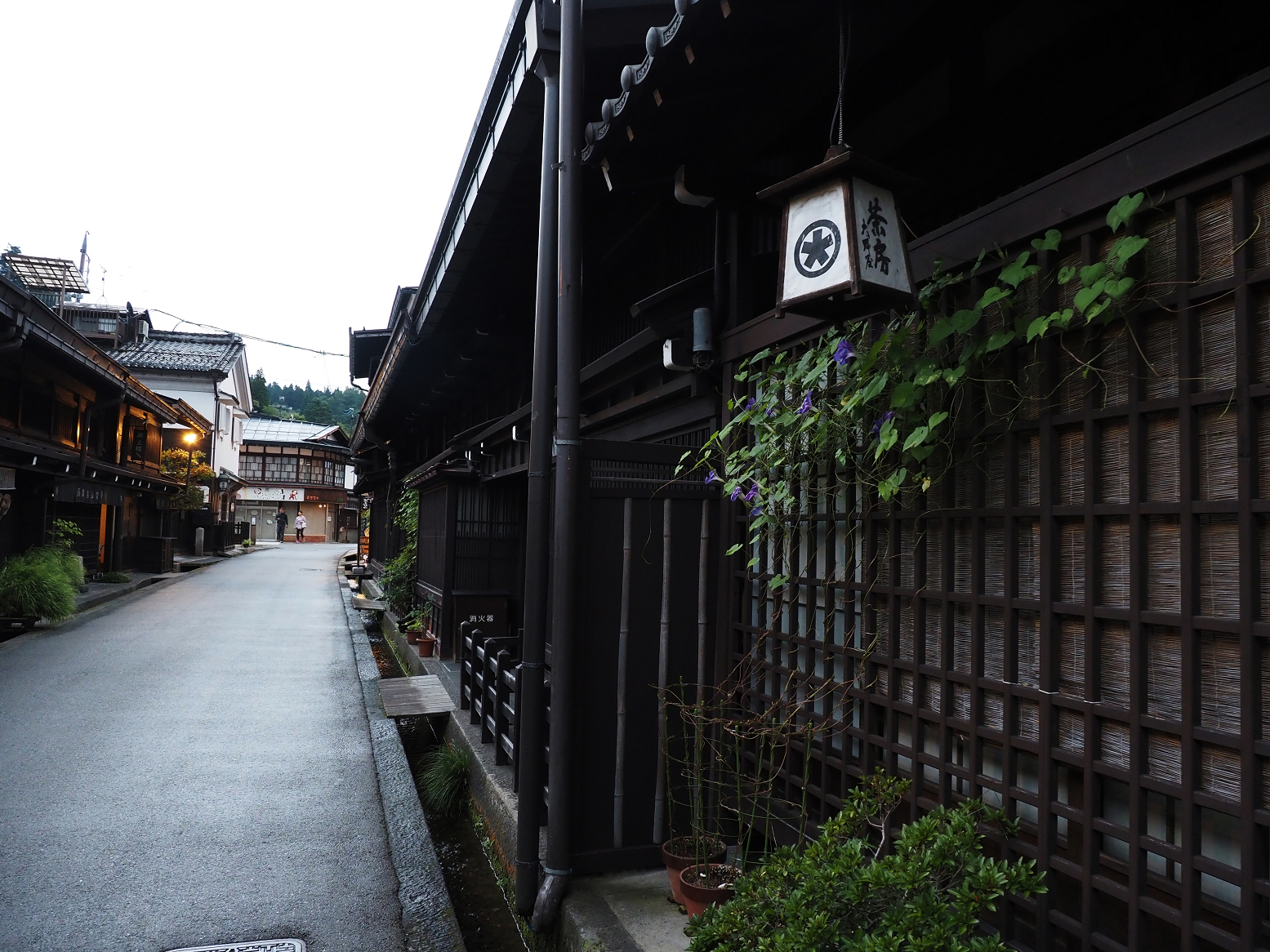 P9210561.jpg