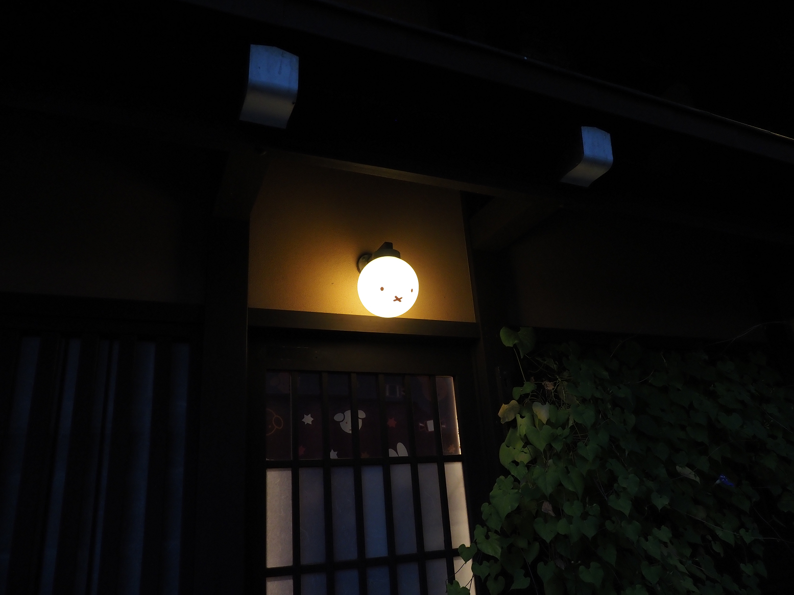 P9210563.jpg