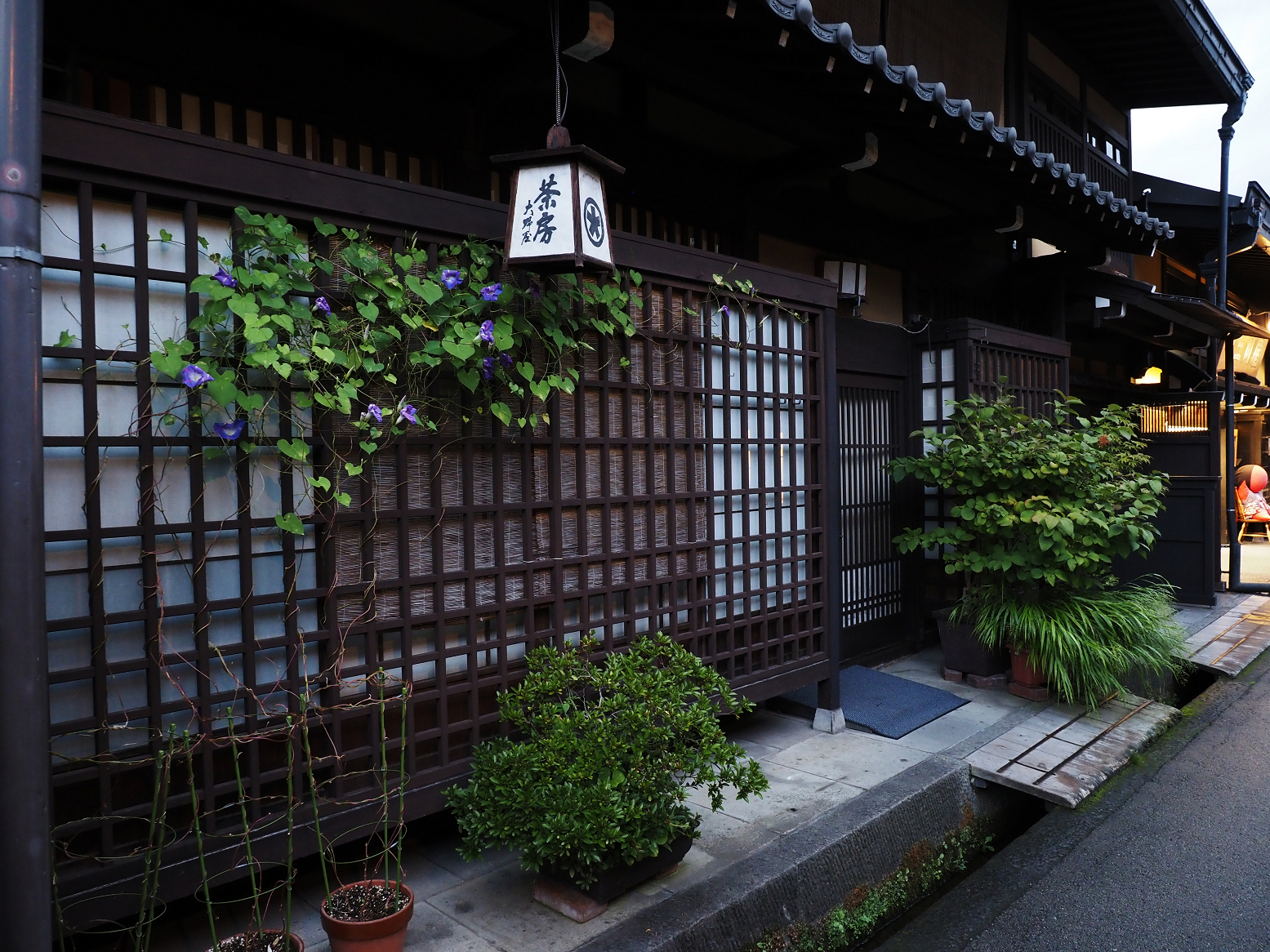 P9210571.jpg