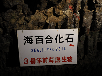 P9220651_thumb.png
