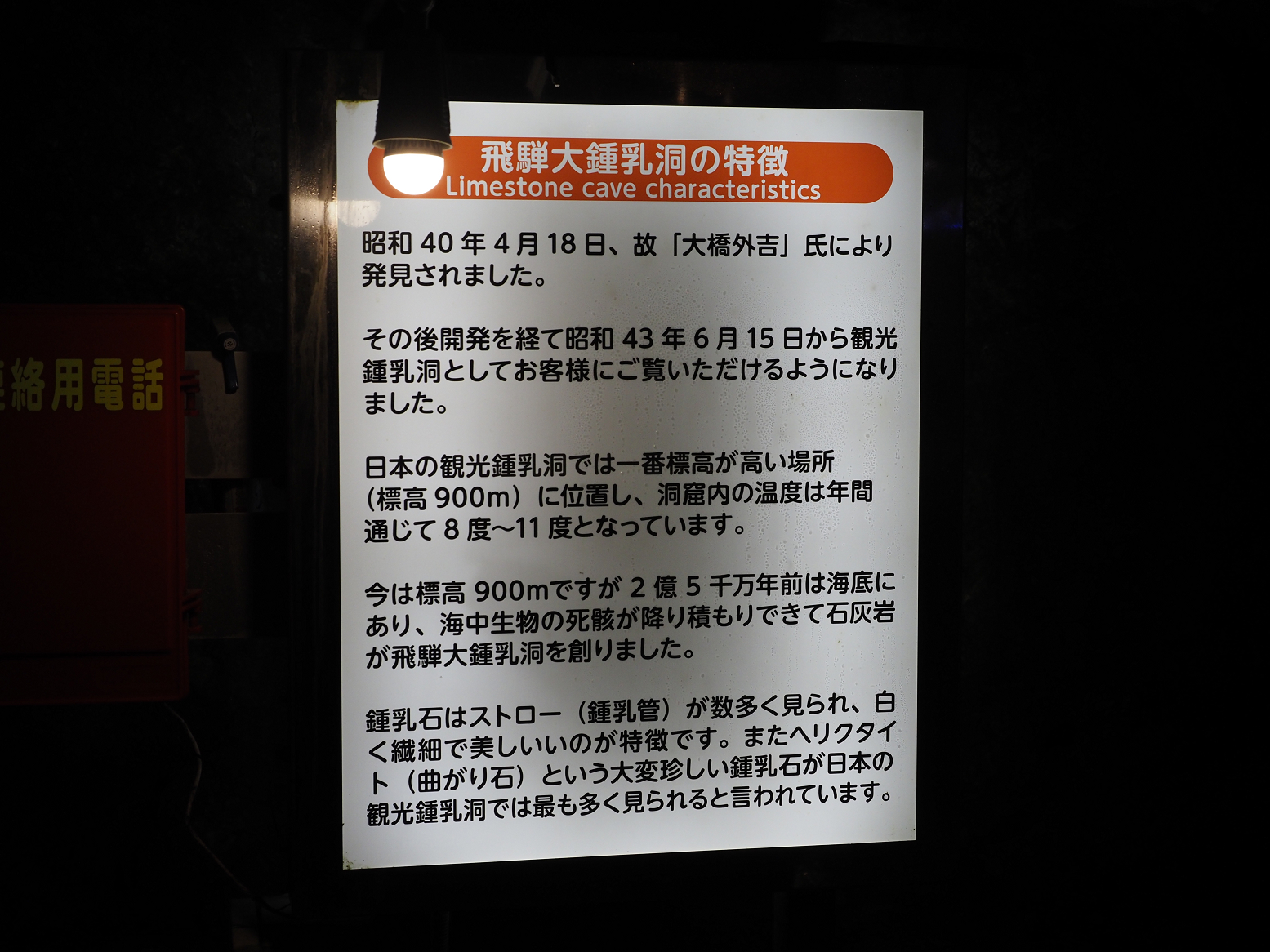P9220702.jpg