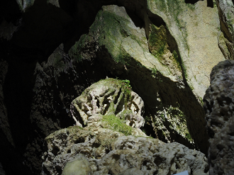 P9220718_thumb.png