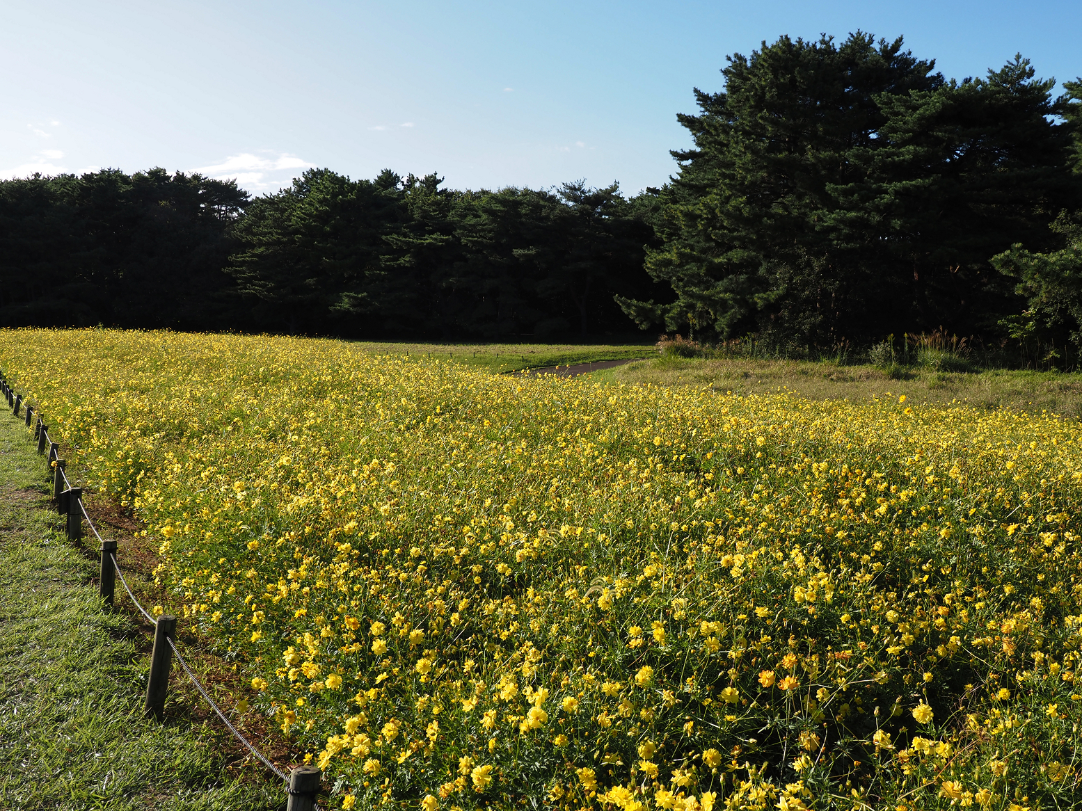 PA070014.jpg