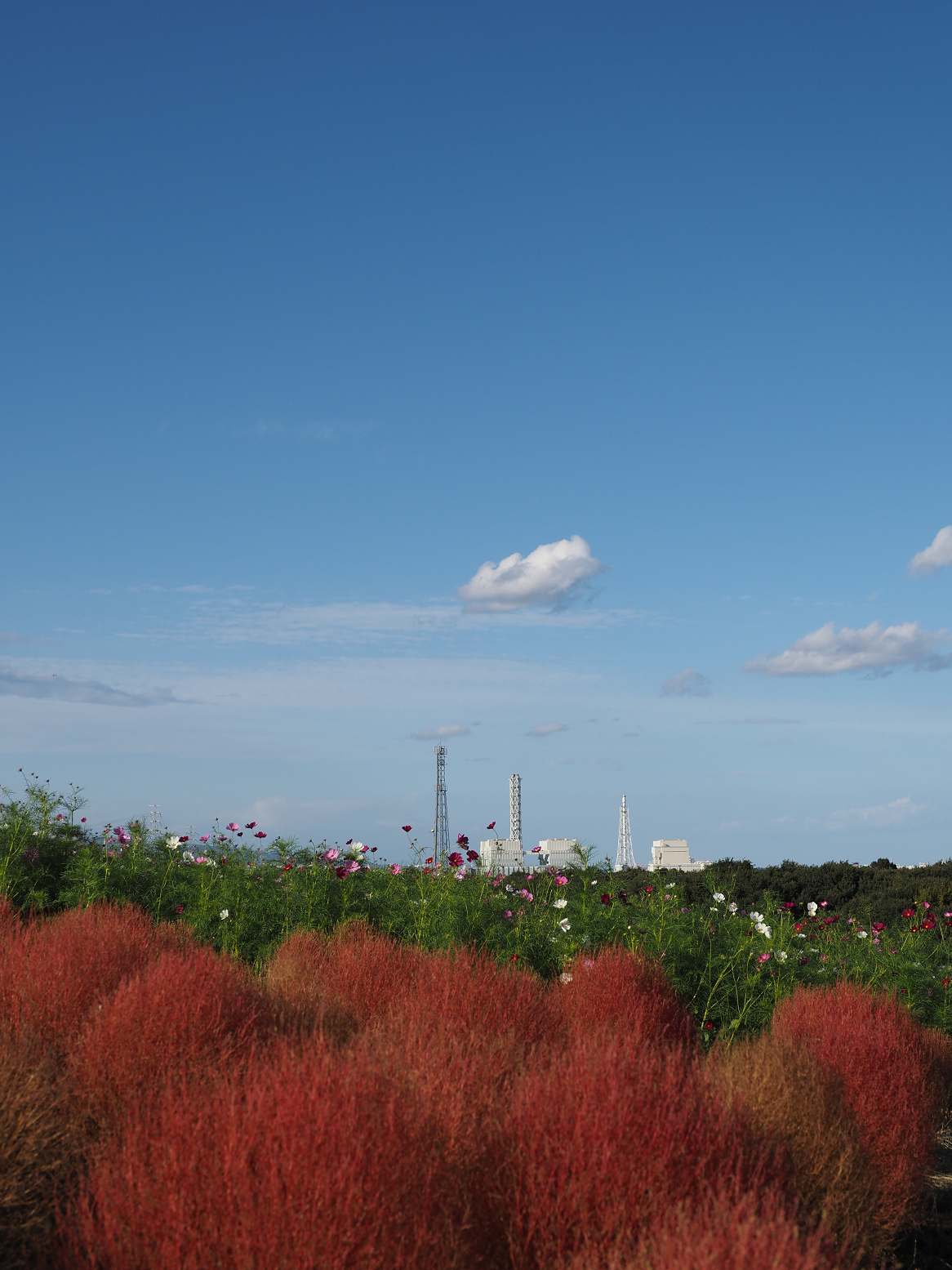 PA070106.jpg