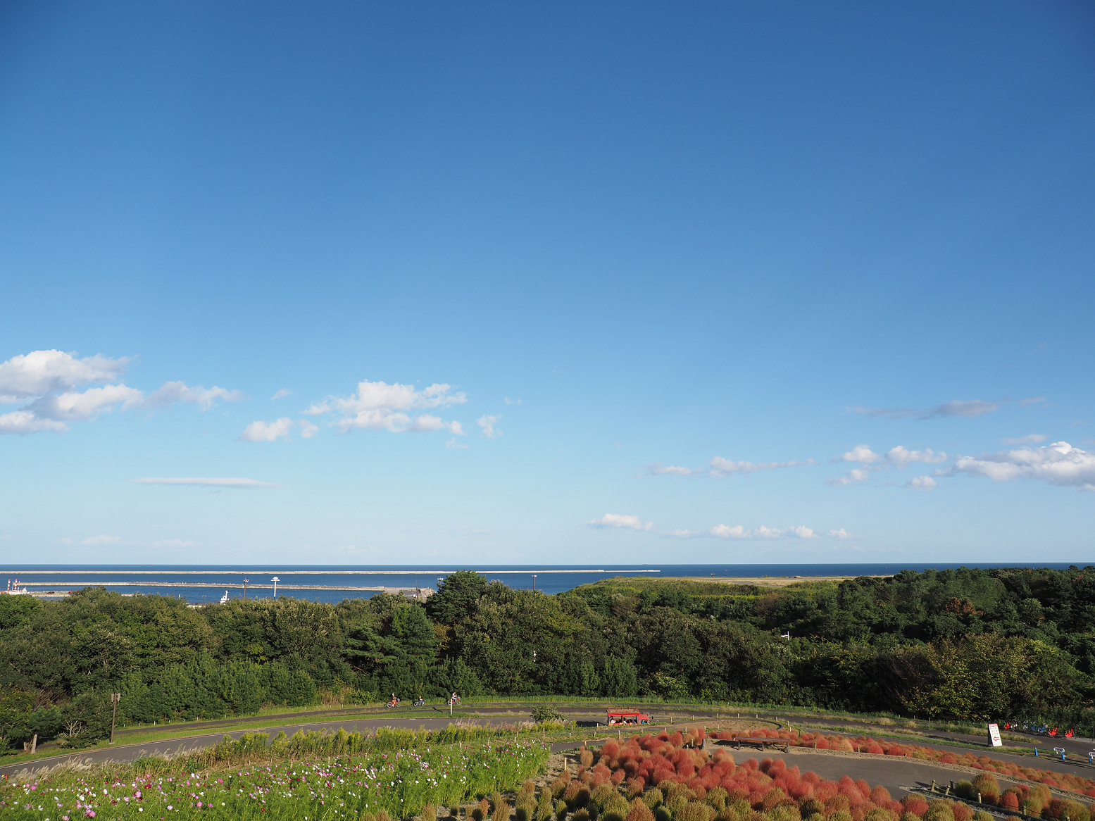 PA070107.jpg