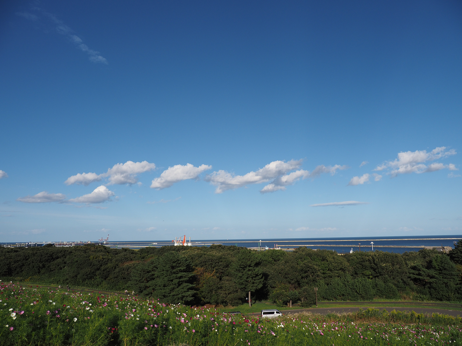 PA070108.jpg