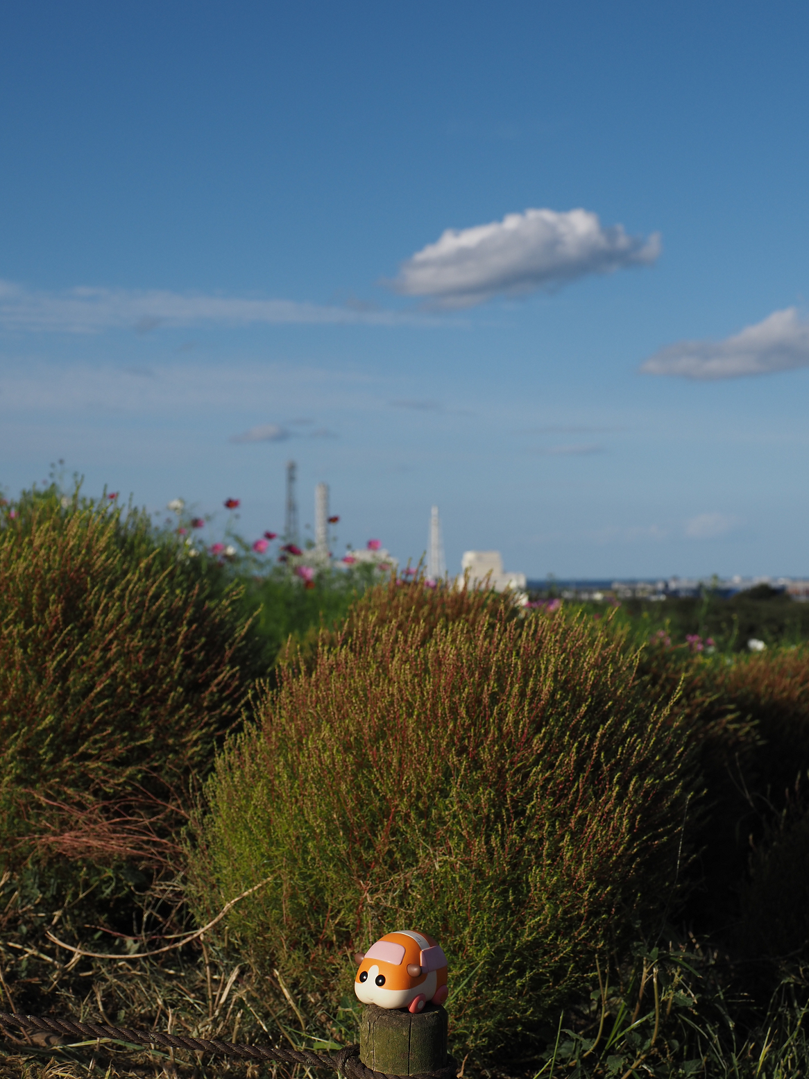 PA070115.jpg