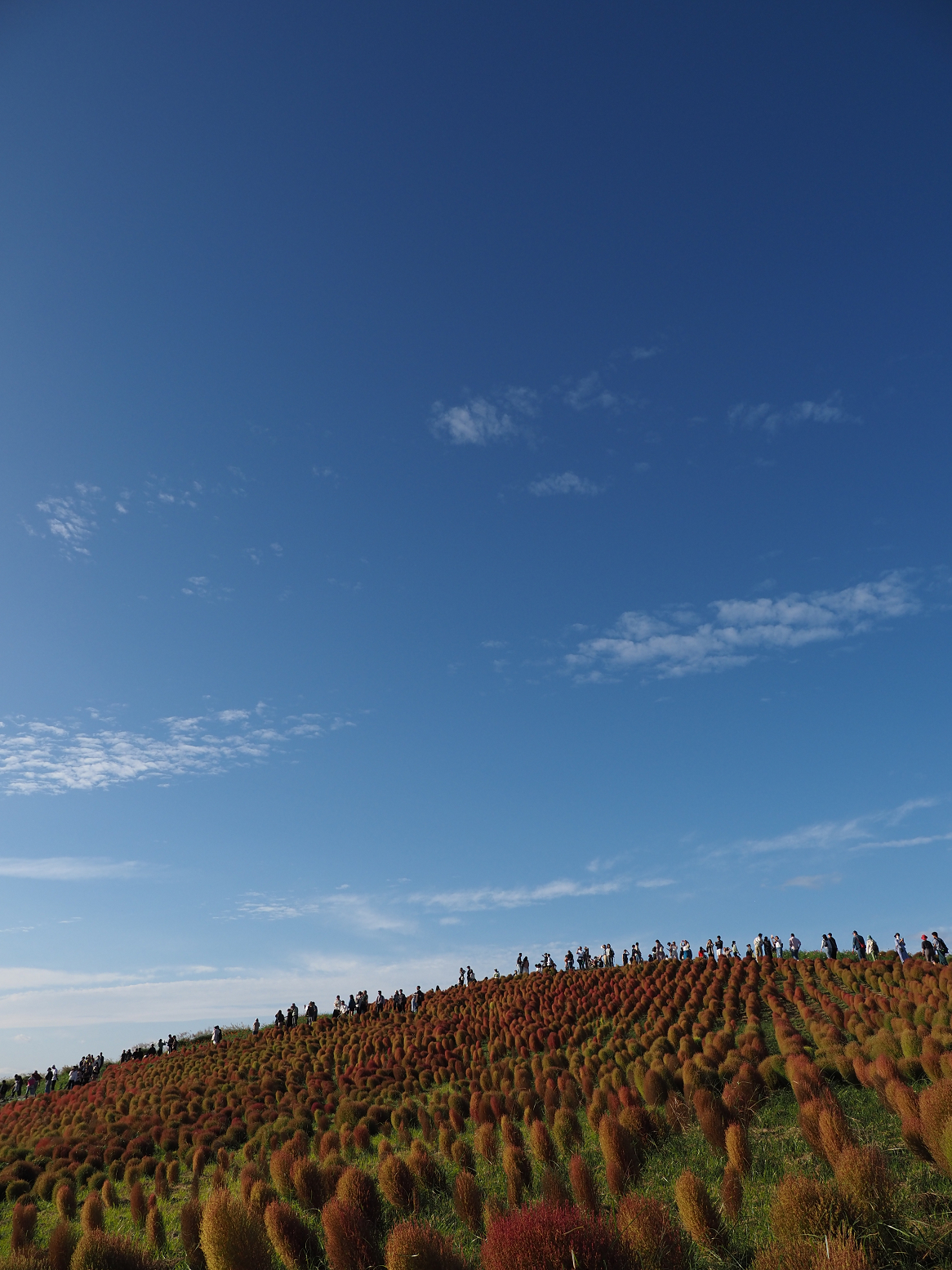 PA070122.jpg