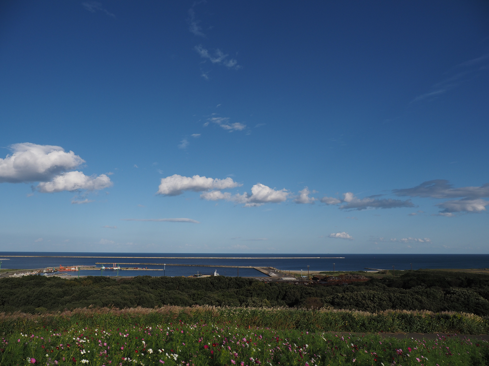PA070125.jpg