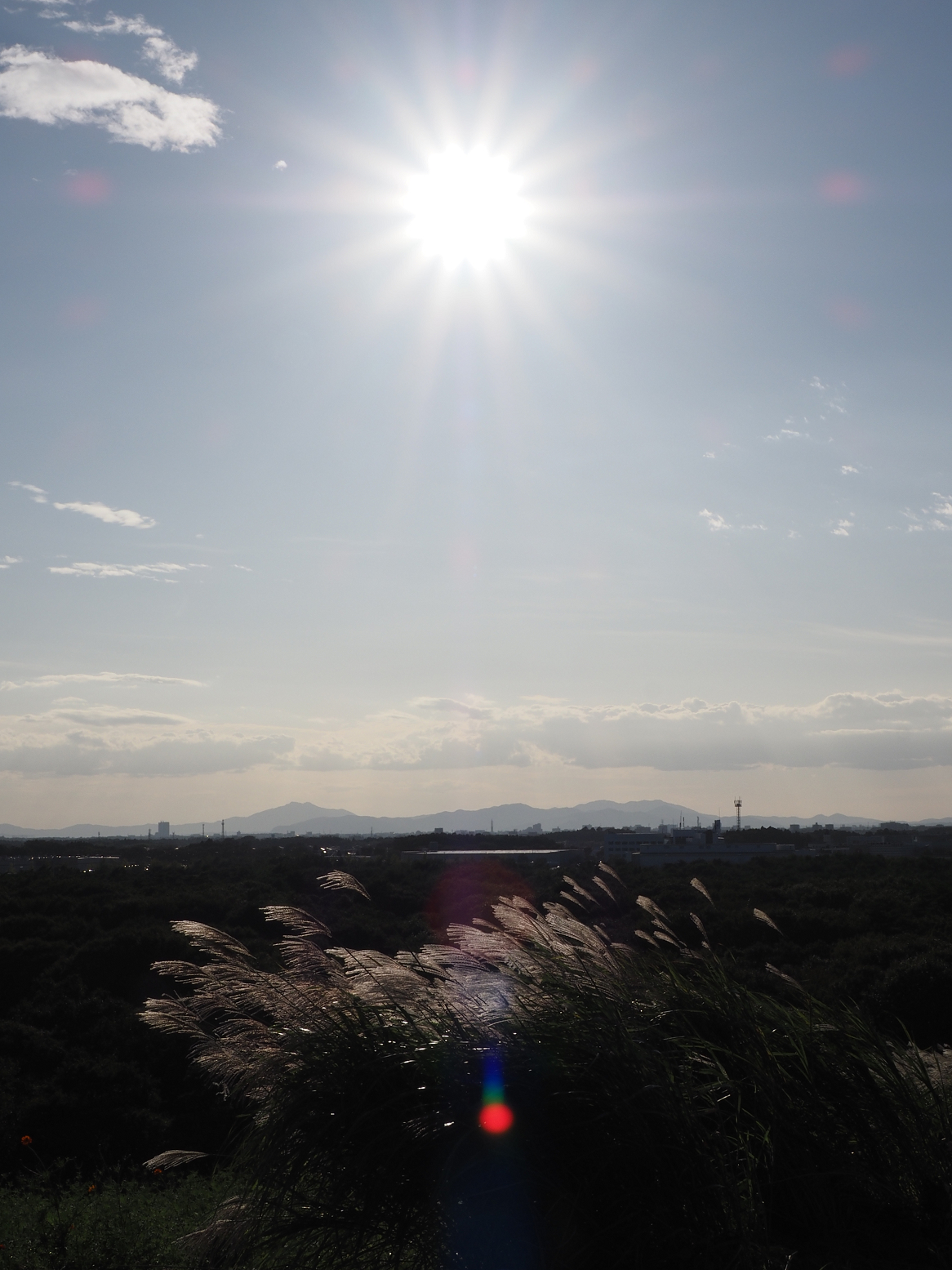 PA070139.jpg