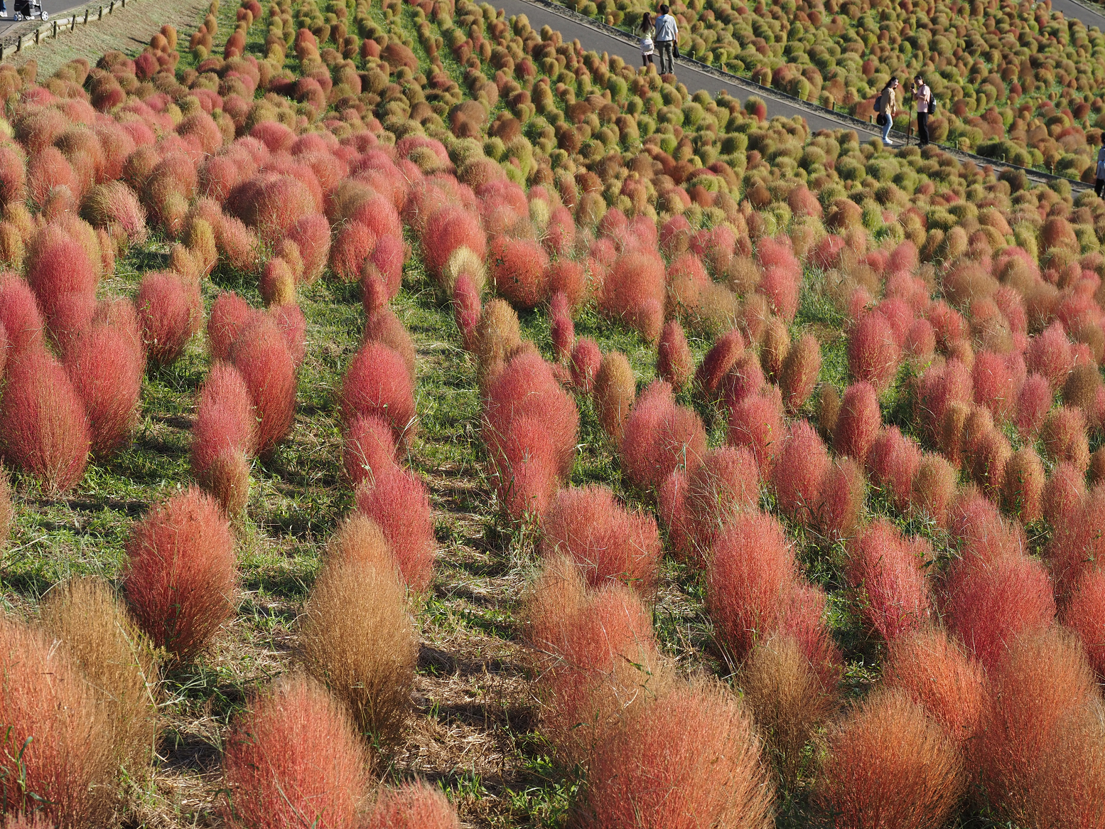 PA070153.jpg