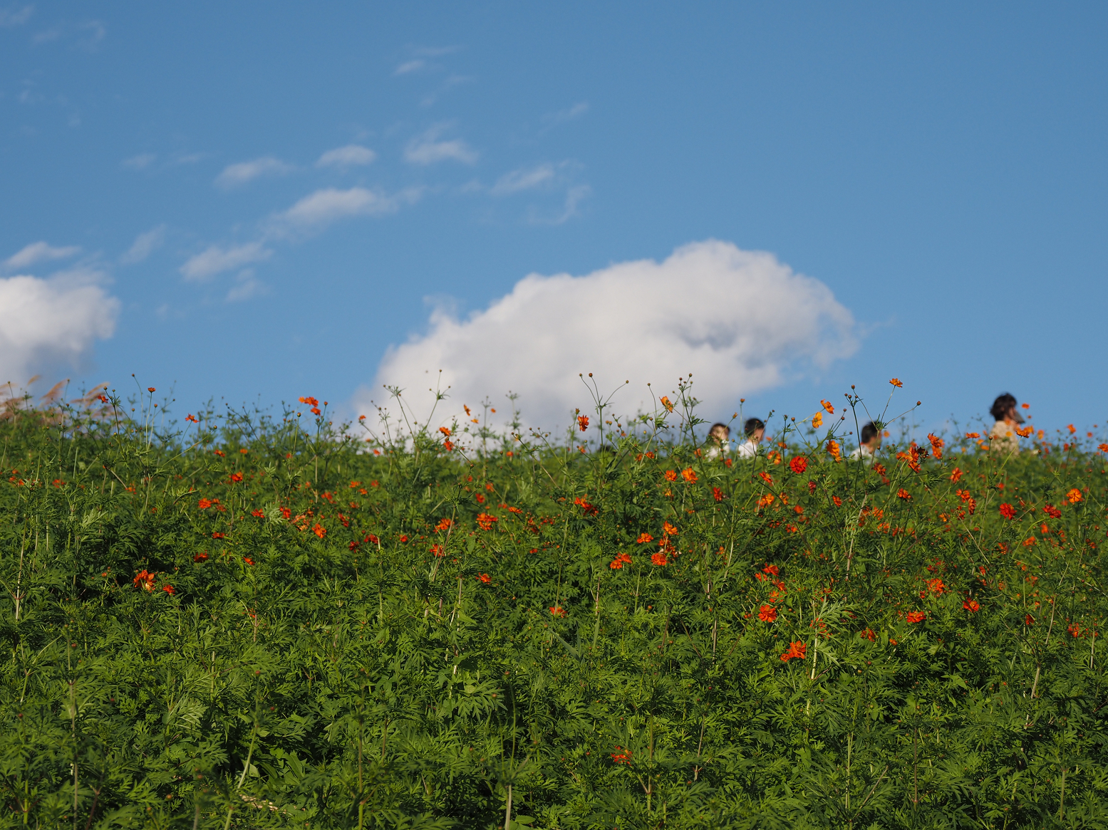 PA070156.jpg