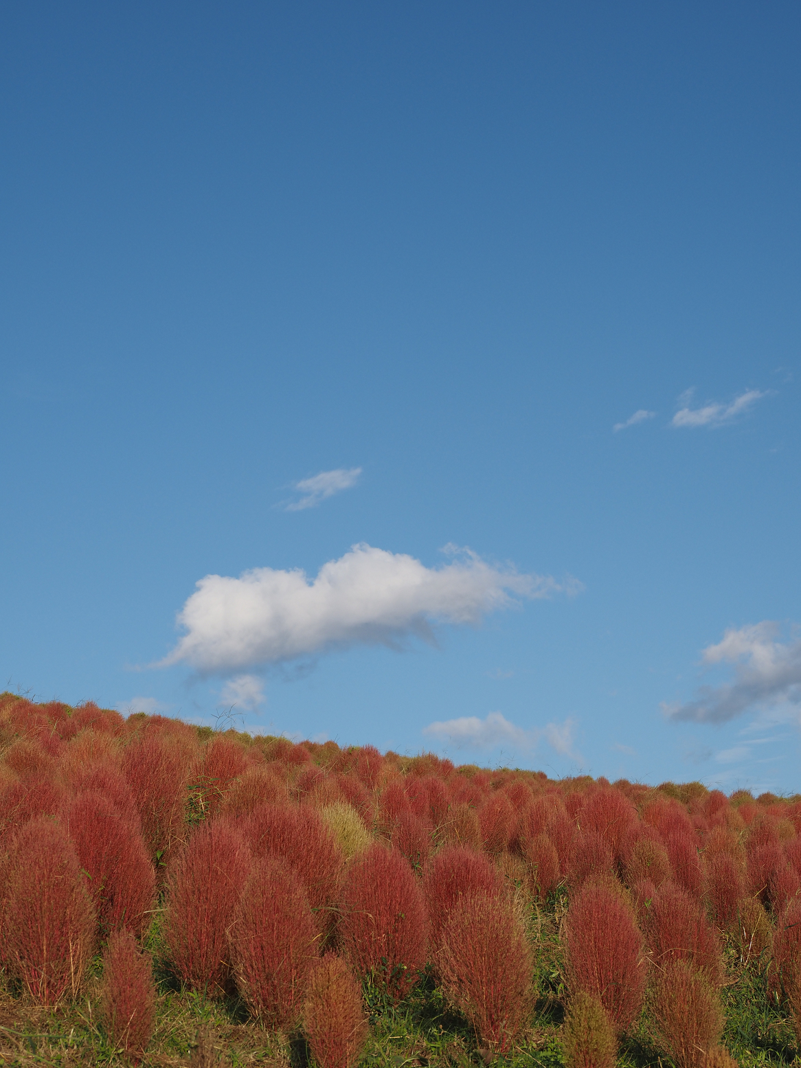 PA070160.jpg