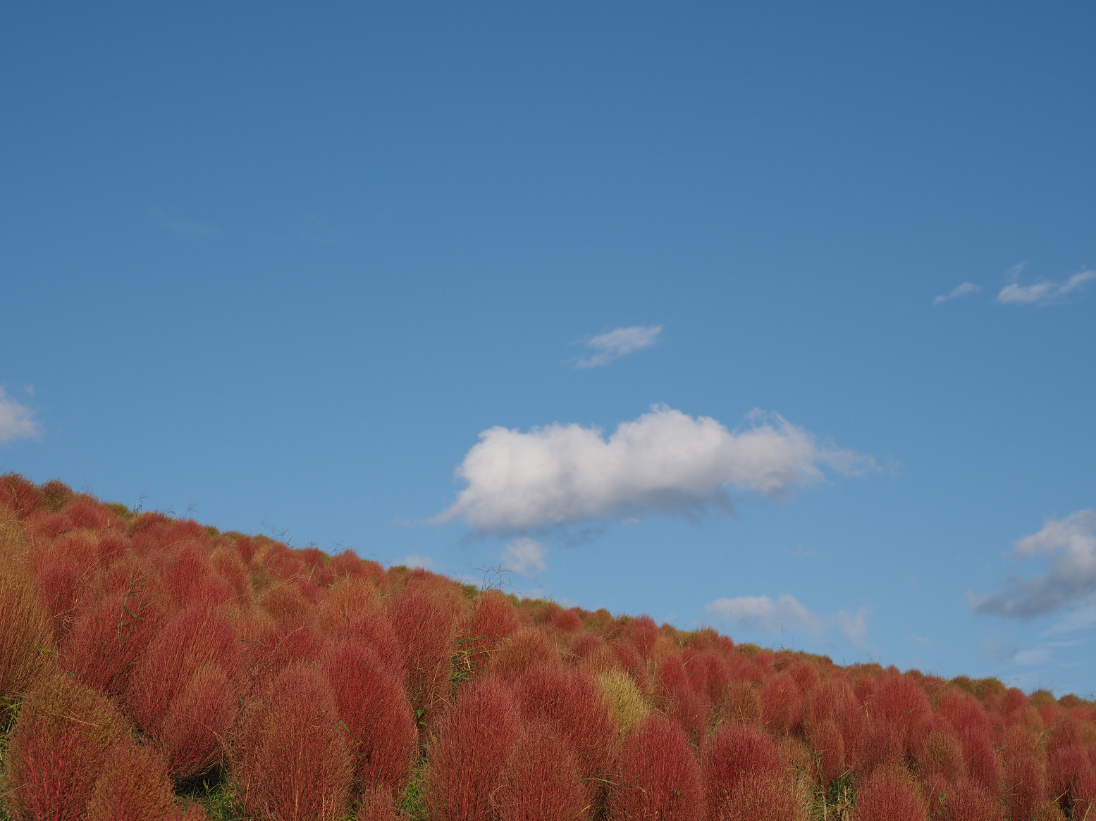 PA070161.jpg