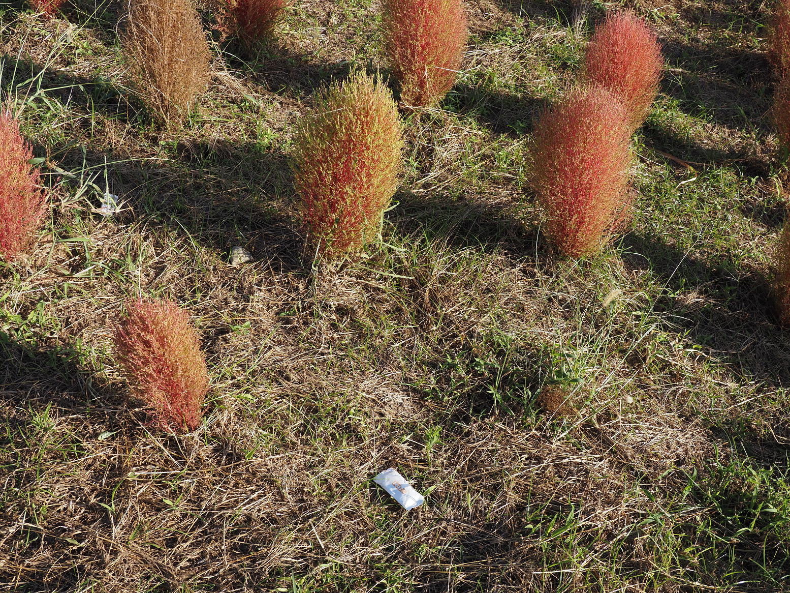 PA070162.jpg